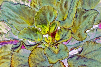 F 016A